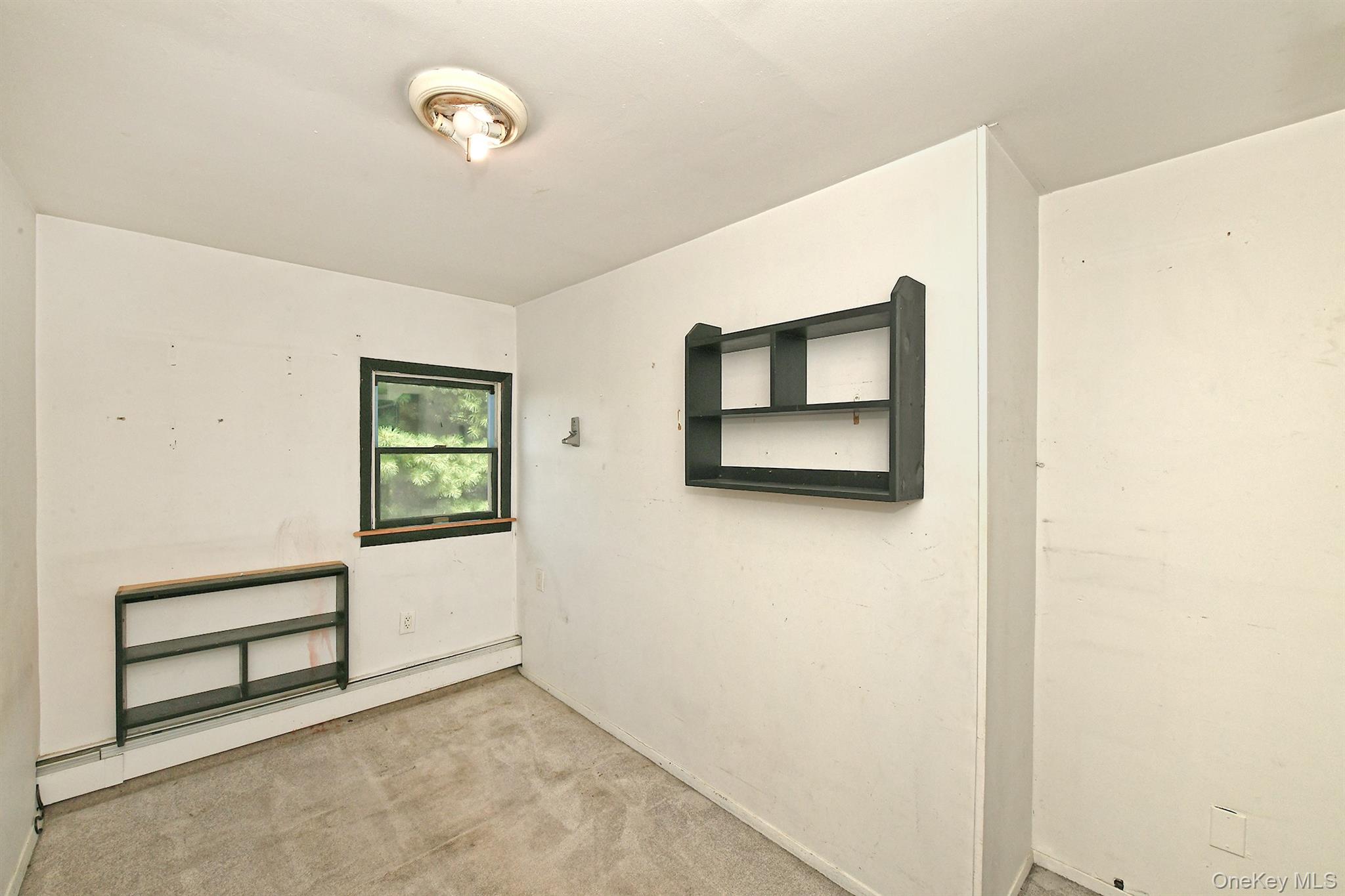 3679 Lark Street Property Photo 13