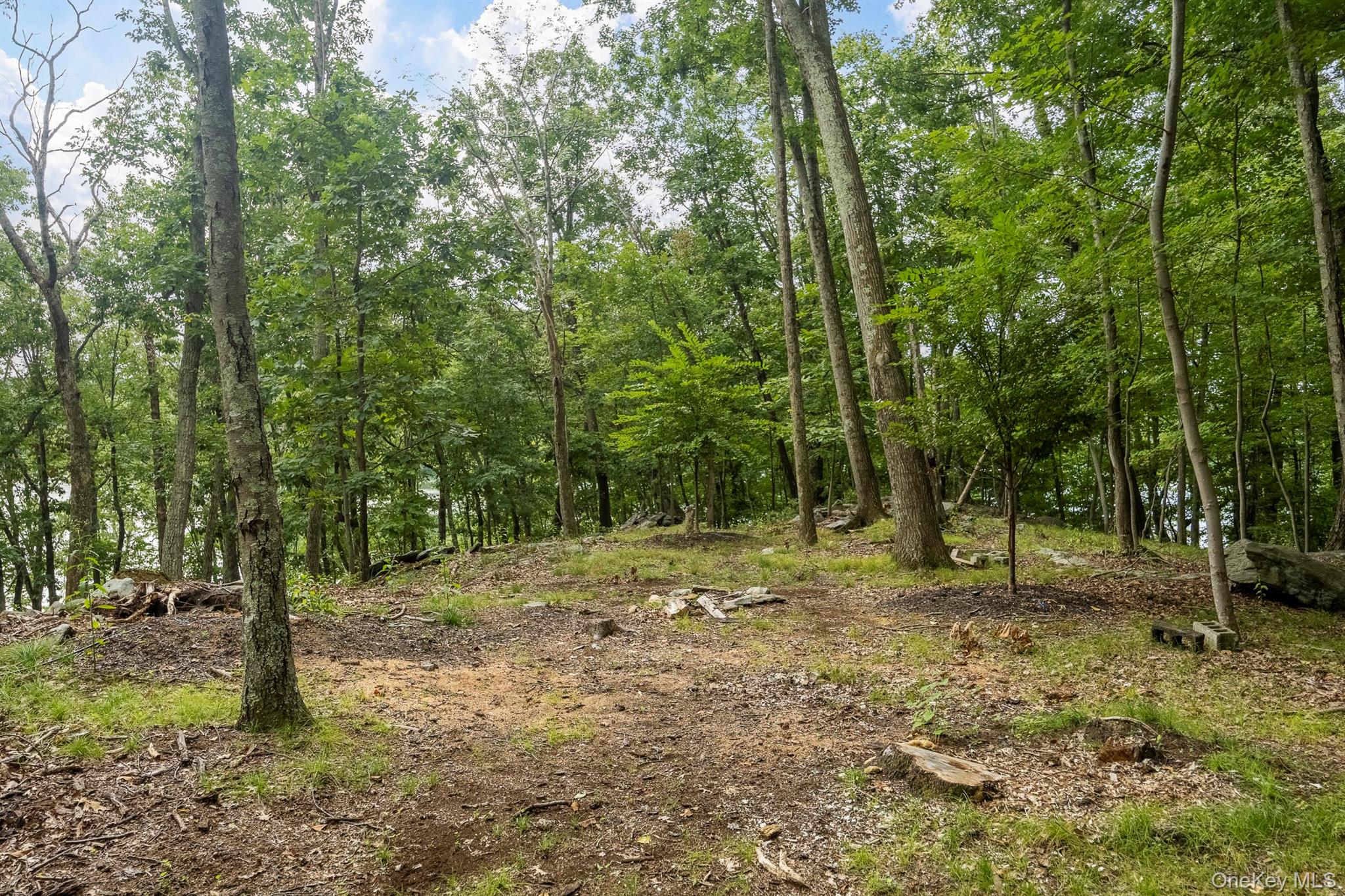 47 Rock Road Property Photo 5