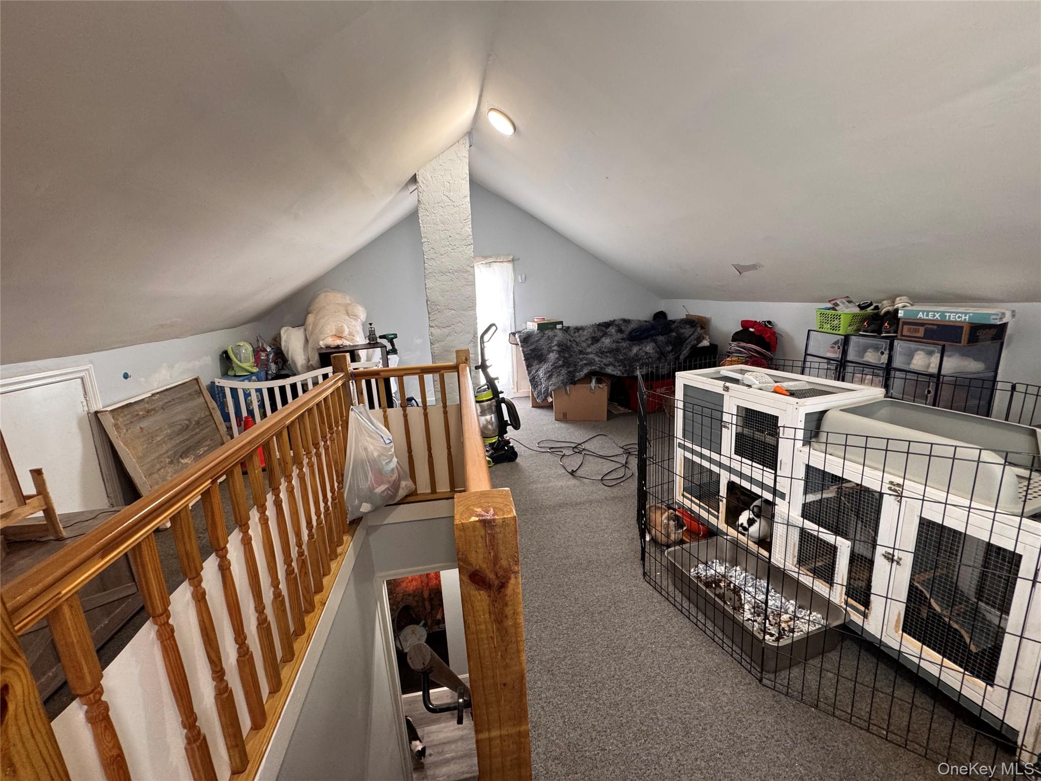 116-16 167th Street Property Photo 19