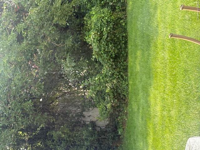 49 Murray Drive Property Photo 2