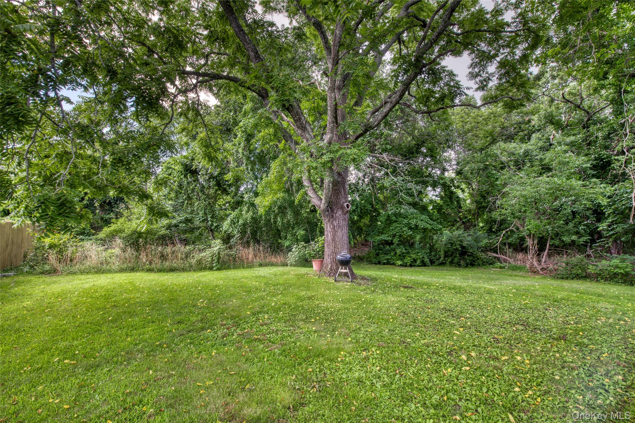 429 Kaplan Avenue Property Photo 2