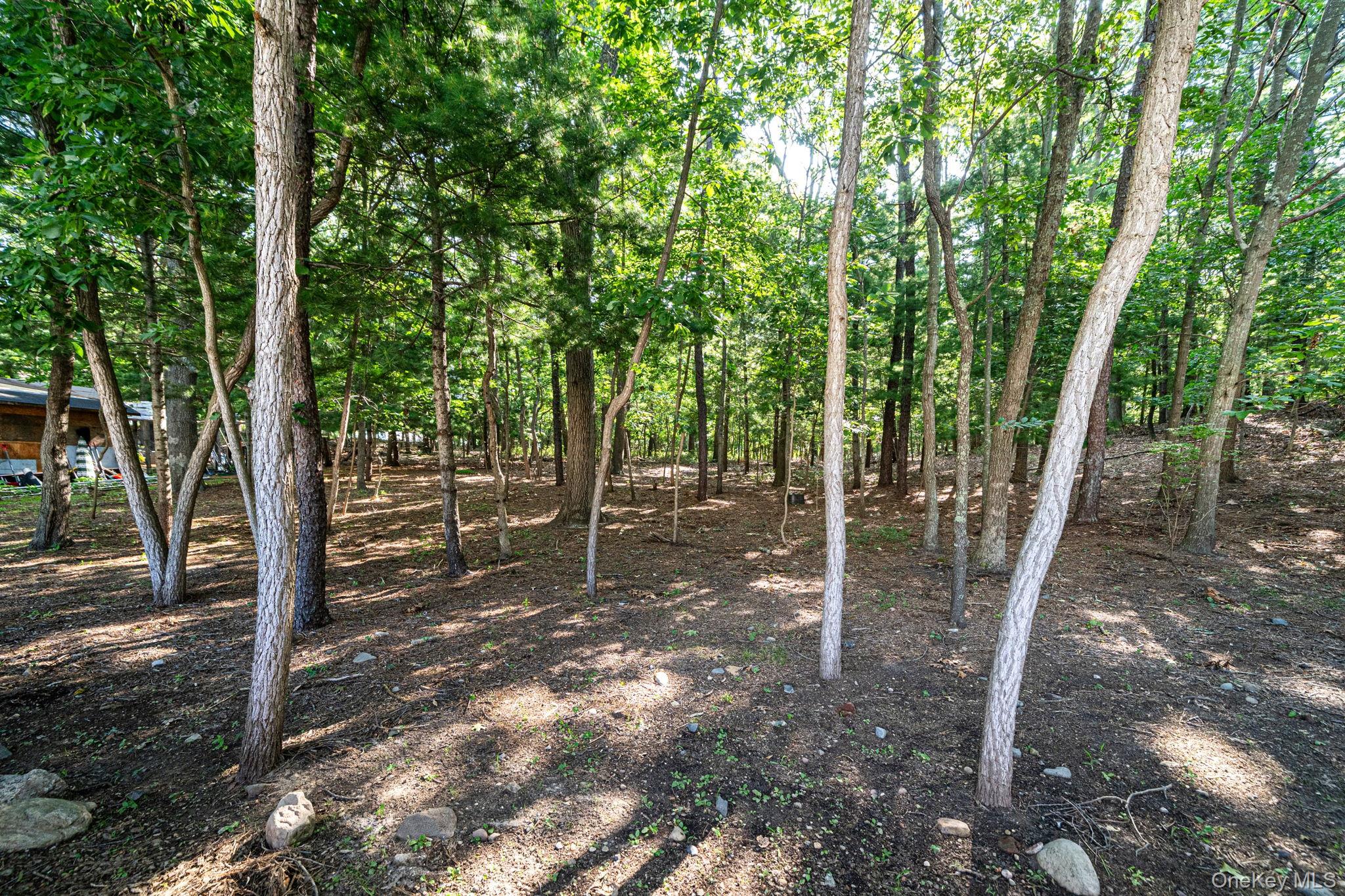 10 Cedar Lane Property Photo 11