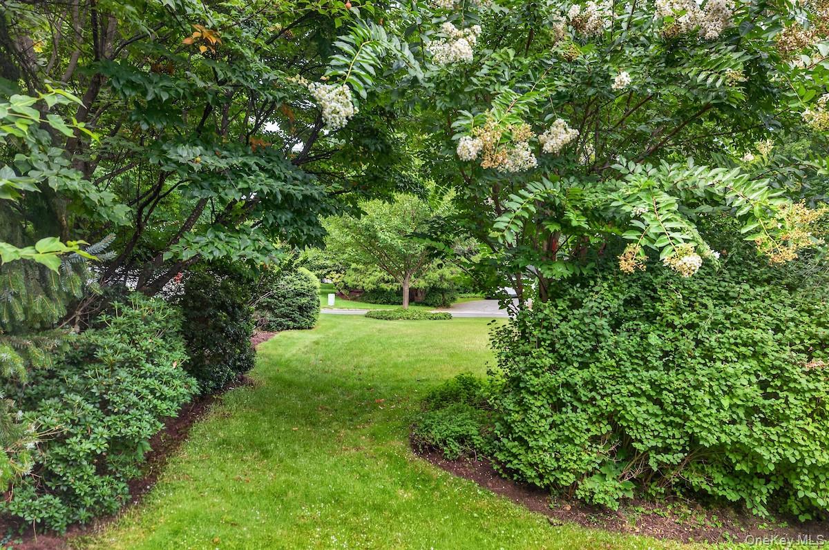 169 Clinton Avenue Property Photo 42
