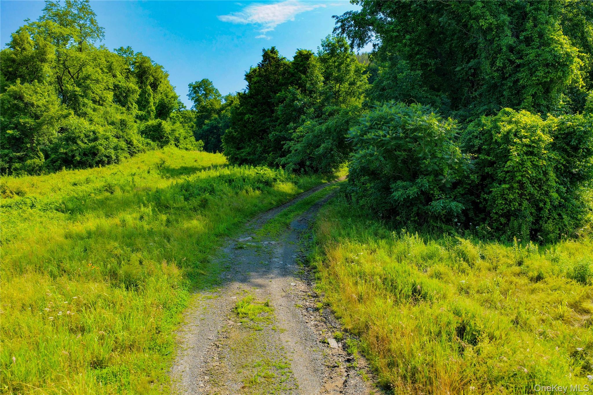 2620 State Route 9h Property Photo 6