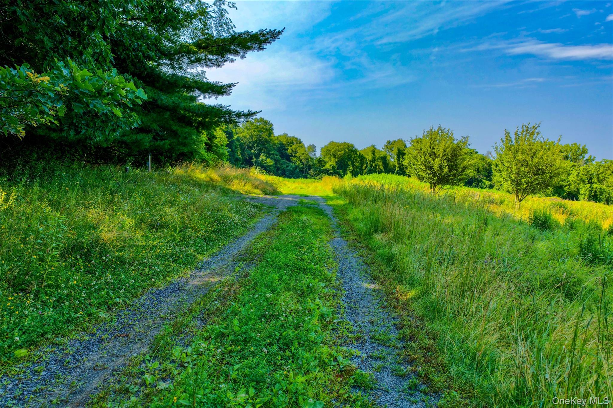 2620 State Route 9h Property Photo 7