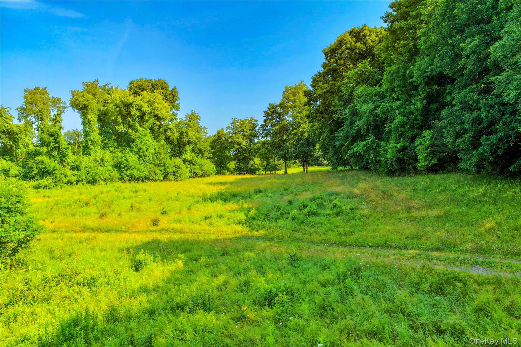 2620 State Route 9h Property Photo 12