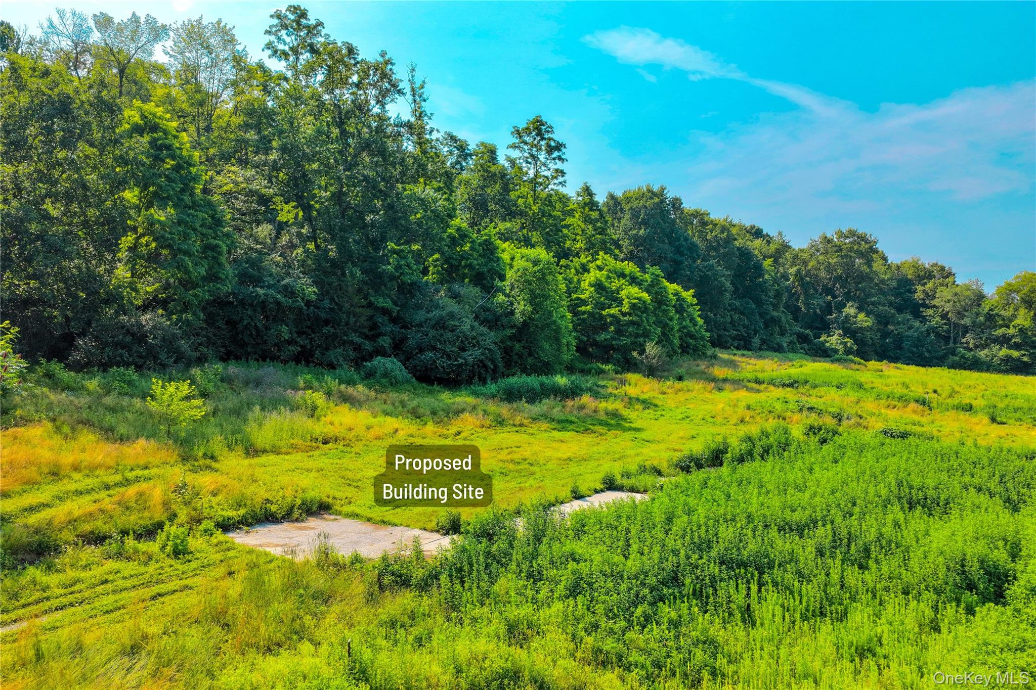 2620 State Route 9h Property Photo 16