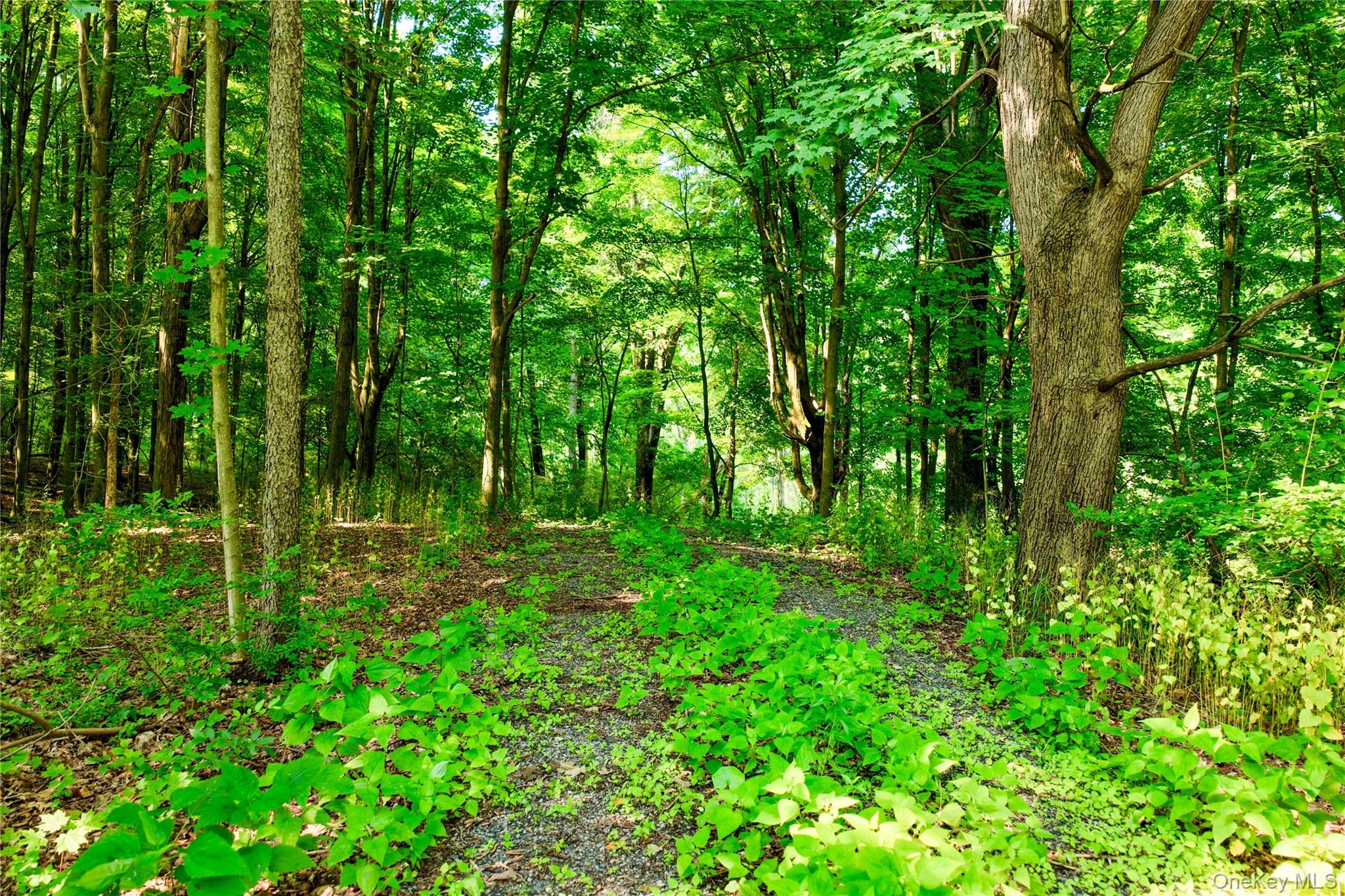2620 State Route 9h Property Photo 18