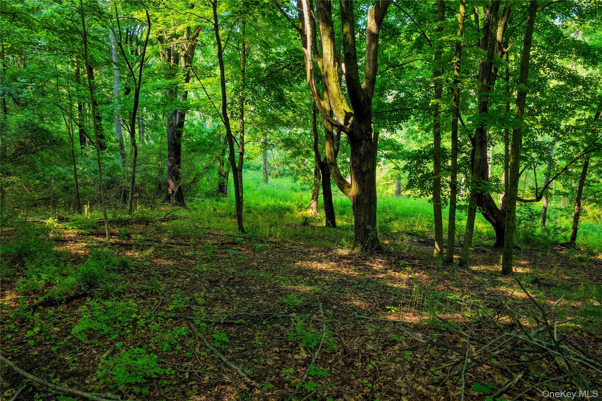 2620 State Route 9h Property Photo 19