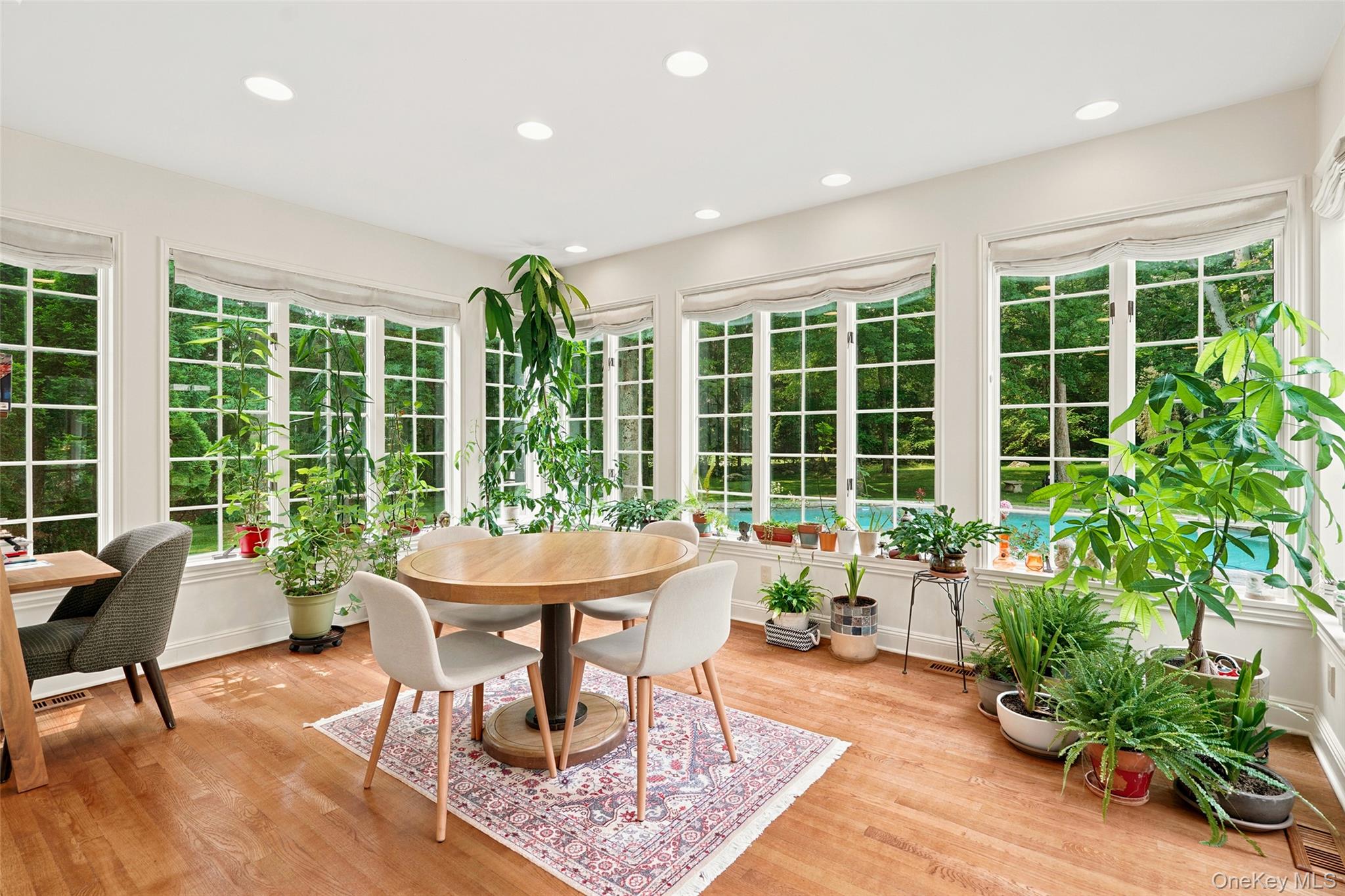 16 Hampton Road Property Photo 9