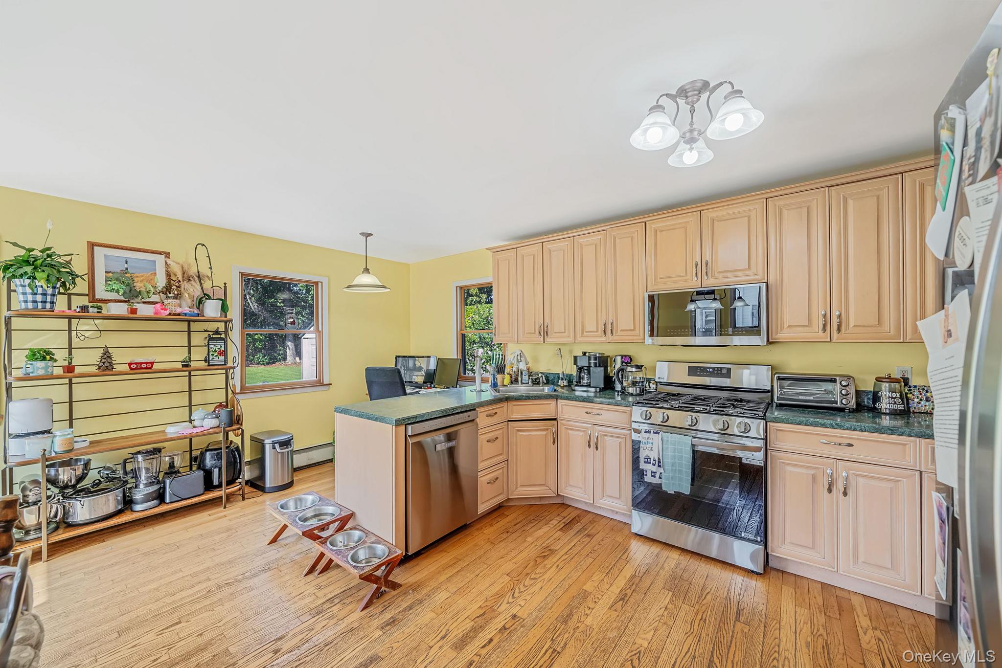 65 Sylvia Drive Property Photo 22