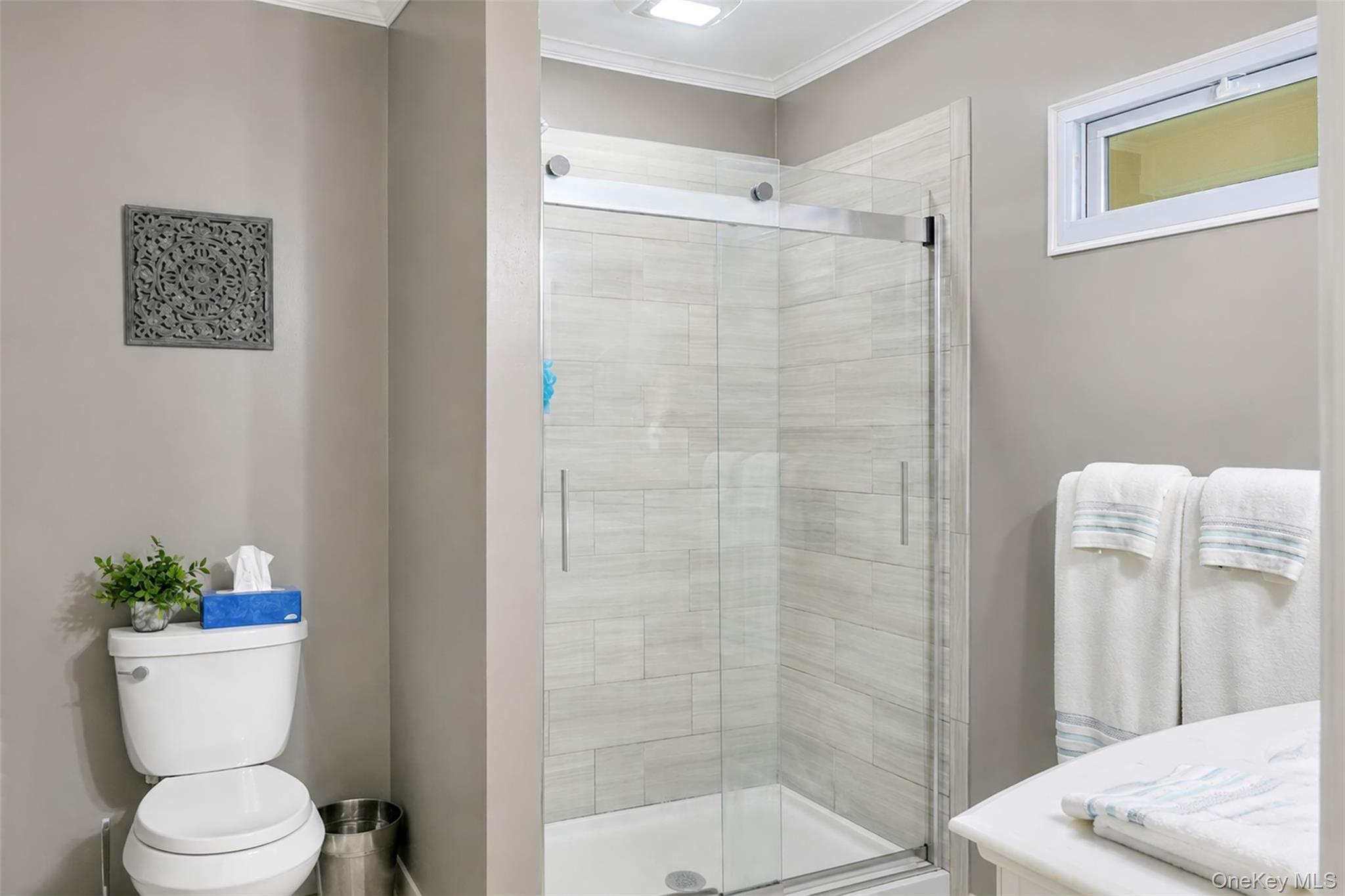 49 Regent Street Property Photo 20