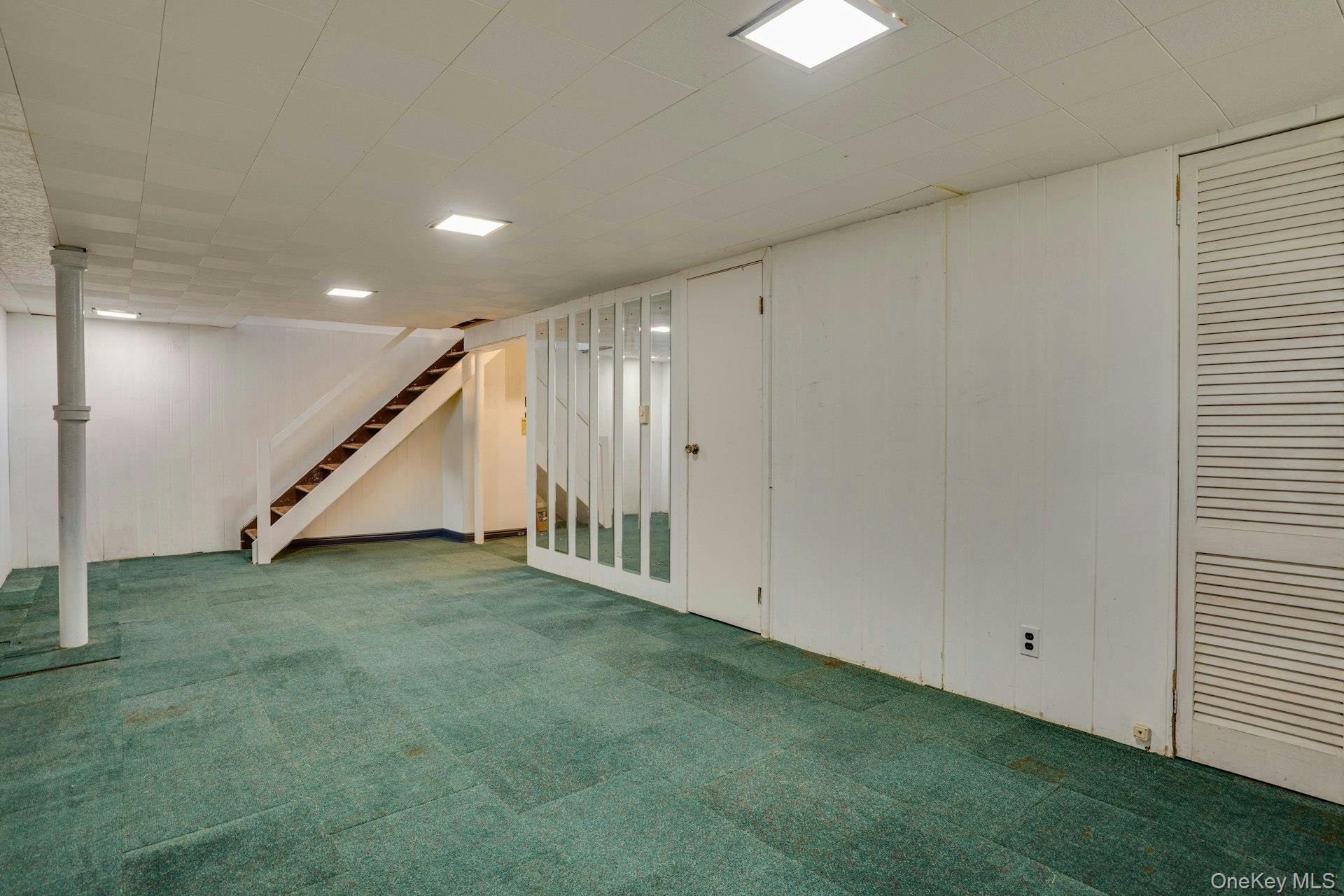 7 Tomkins Court Property Photo 37