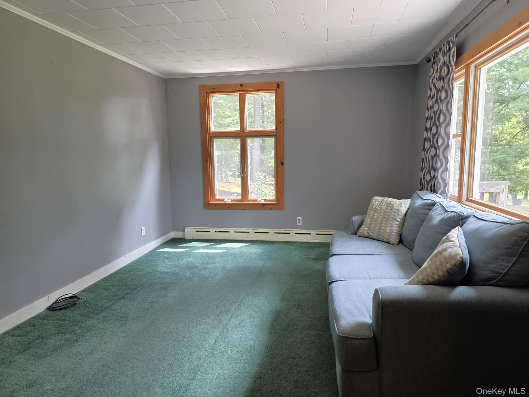 220 Mail Road Property Photo 13