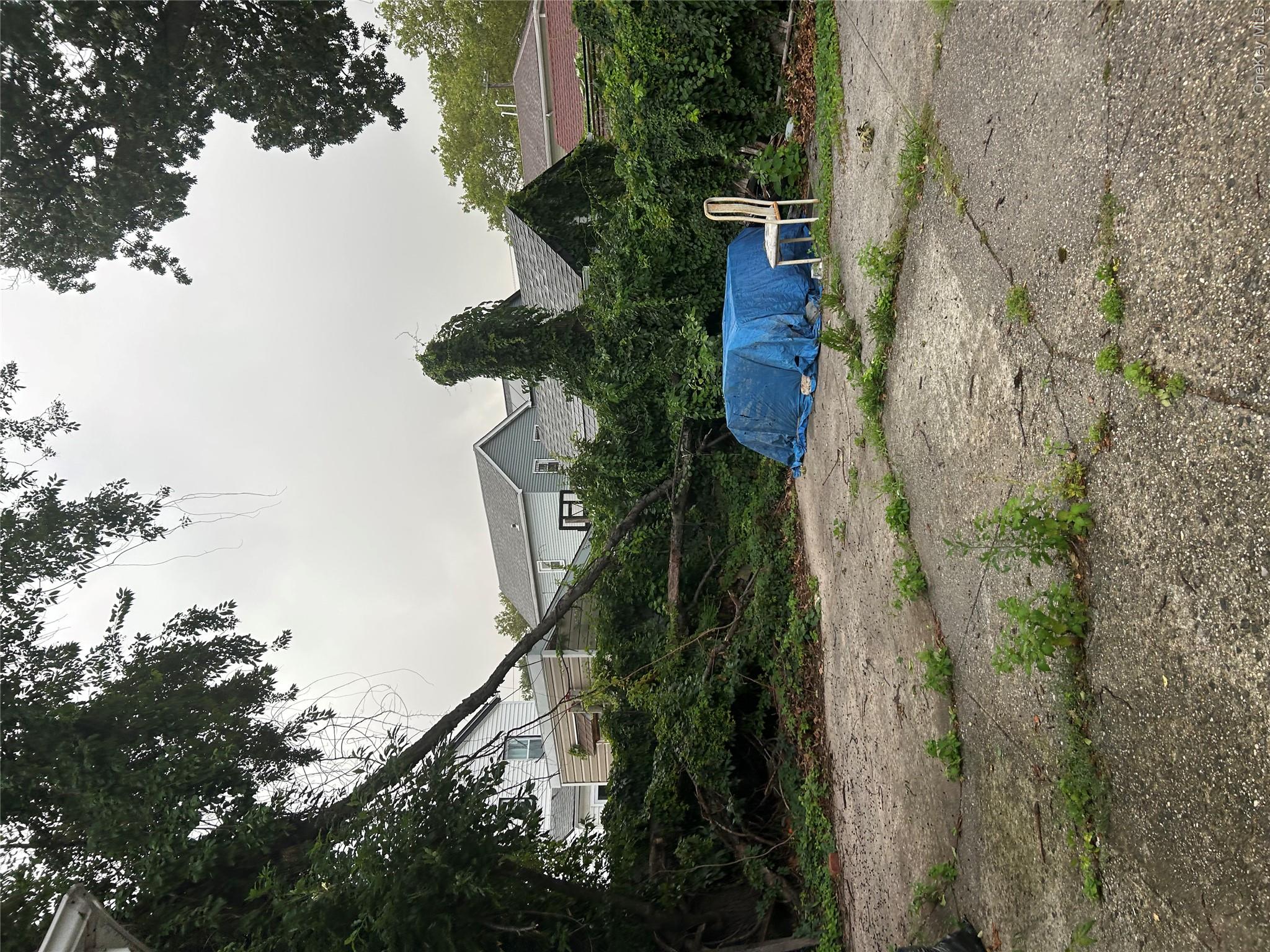116-58 148th Street Property Photo 4