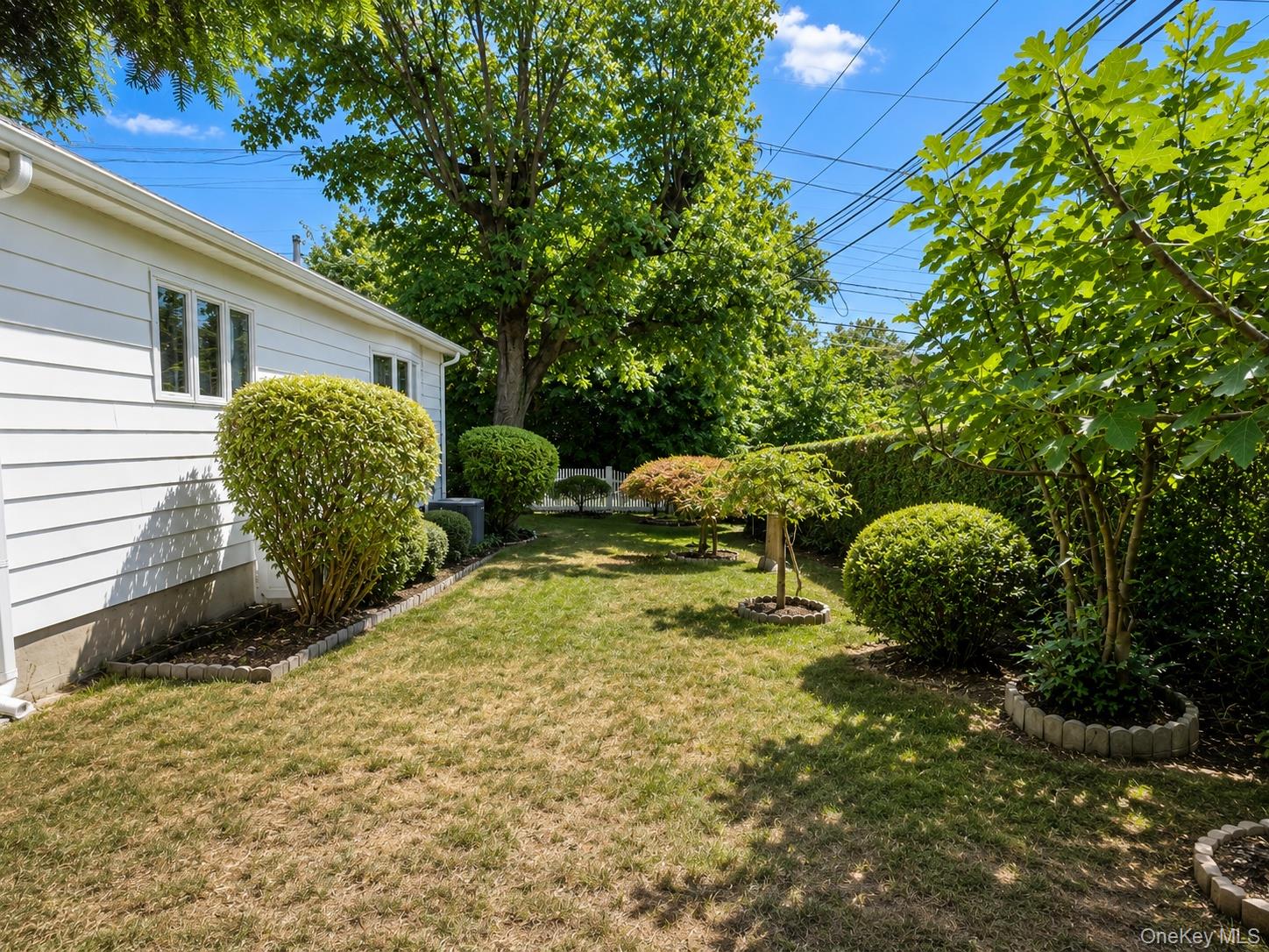 67 King Road Property Photo 34