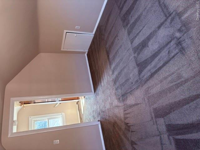 1435 Alpha Street Property Photo 13