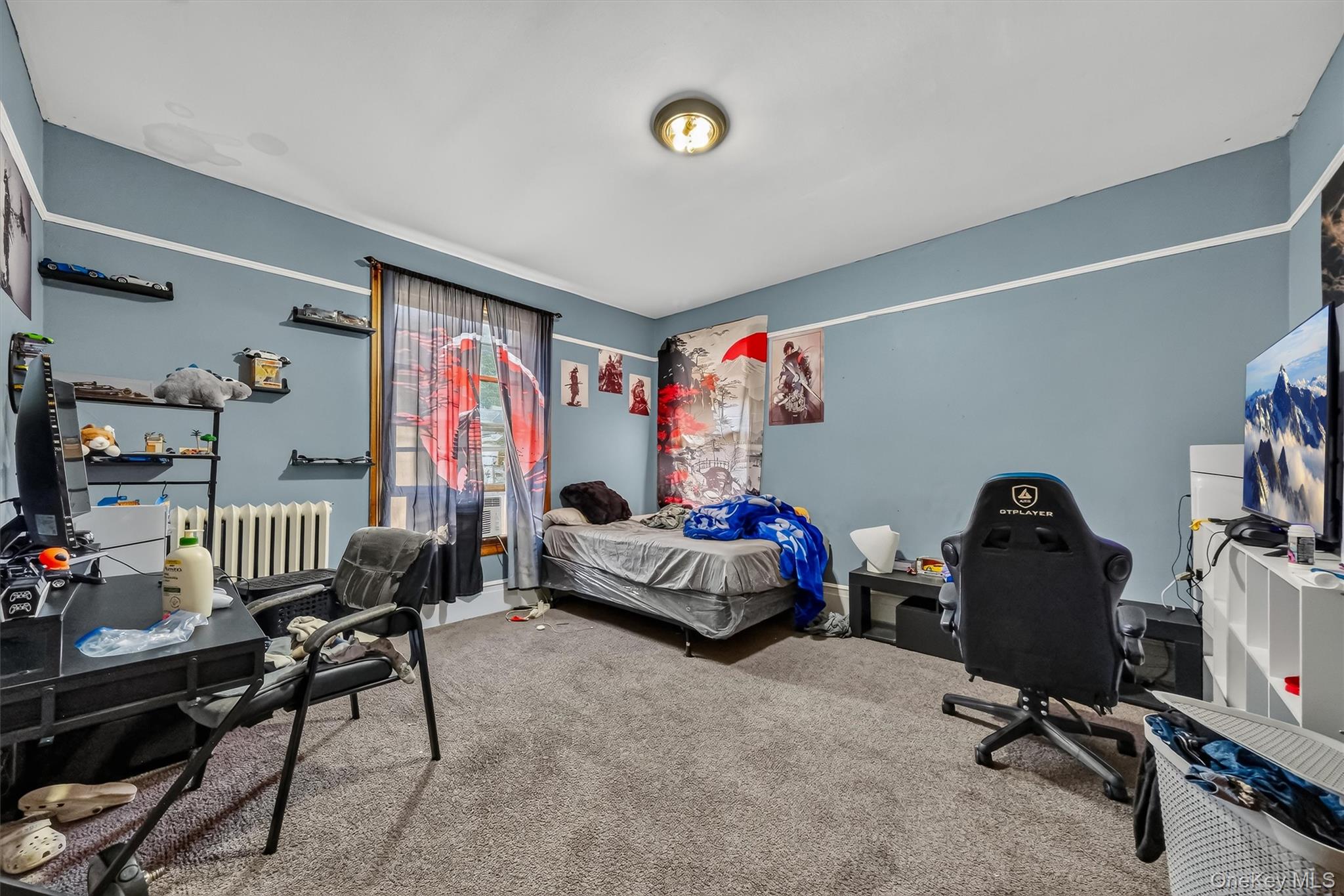 11 Balding Avenue Property Photo 15