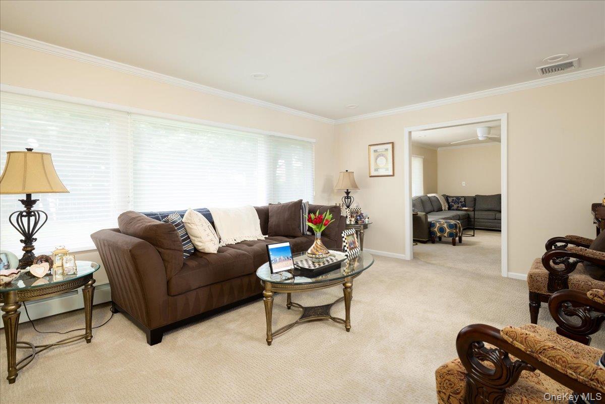 19 Jerold Street Property Photo 5
