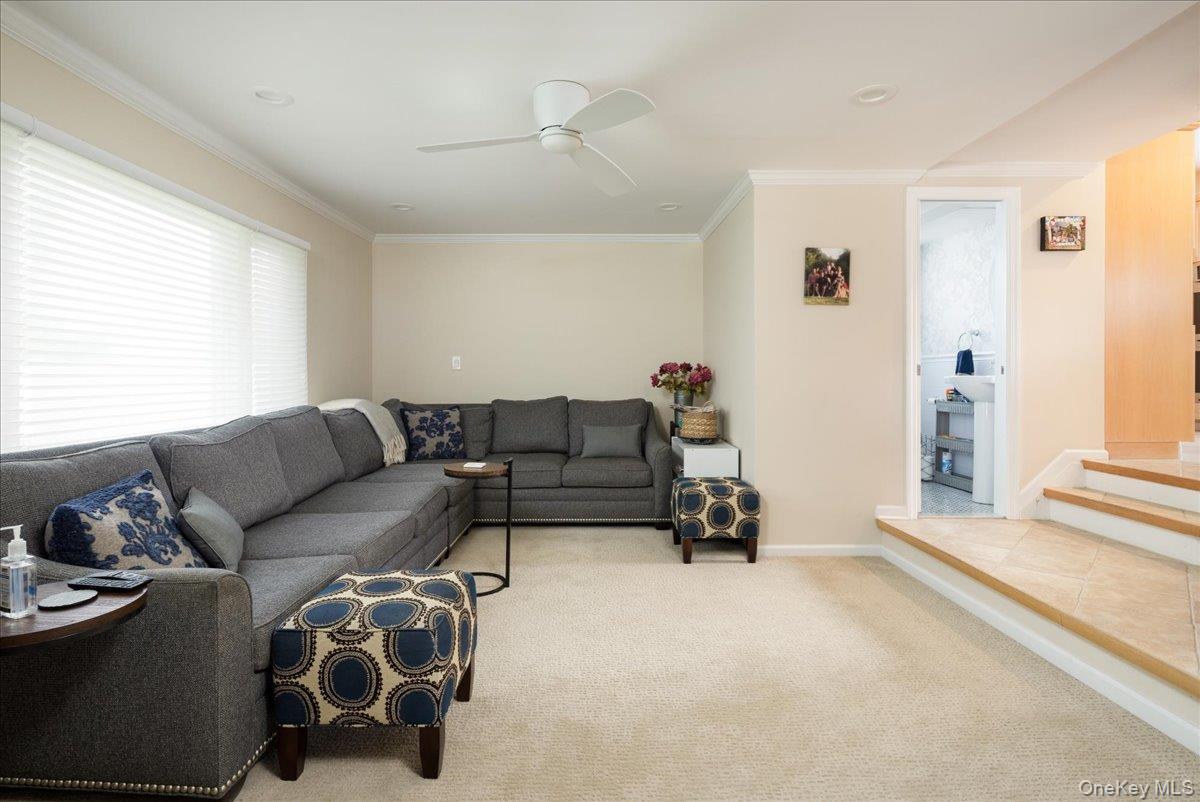 19 Jerold Street Property Photo 6