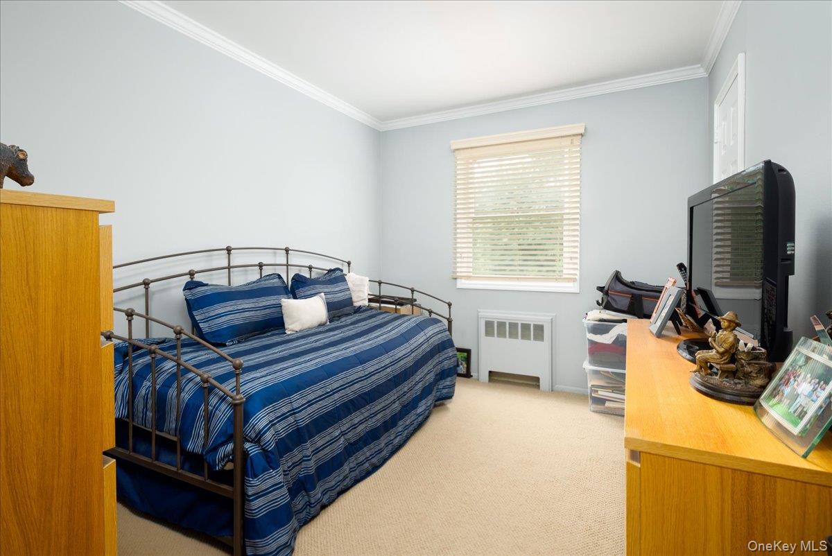 19 Jerold Street Property Photo 15