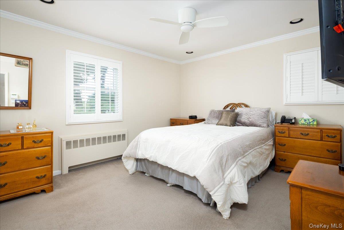 19 Jerold Street Property Photo 17