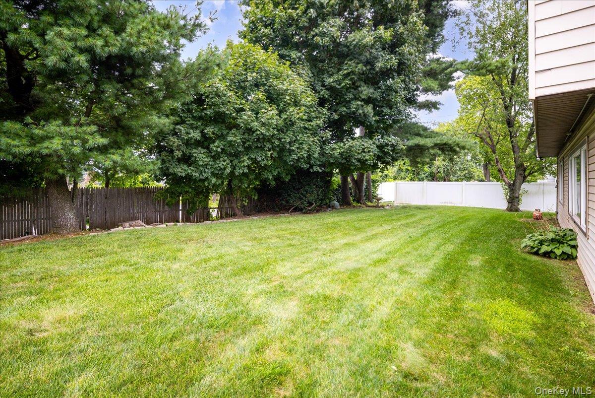 19 Jerold Street Property Photo 25