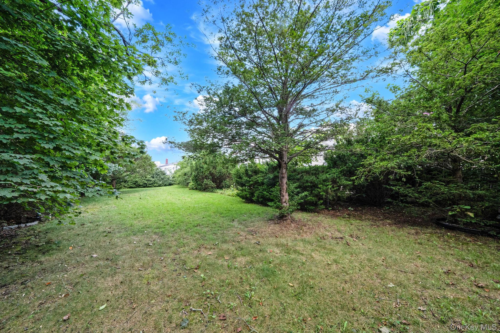 18 Wilson Street Property Photo 8
