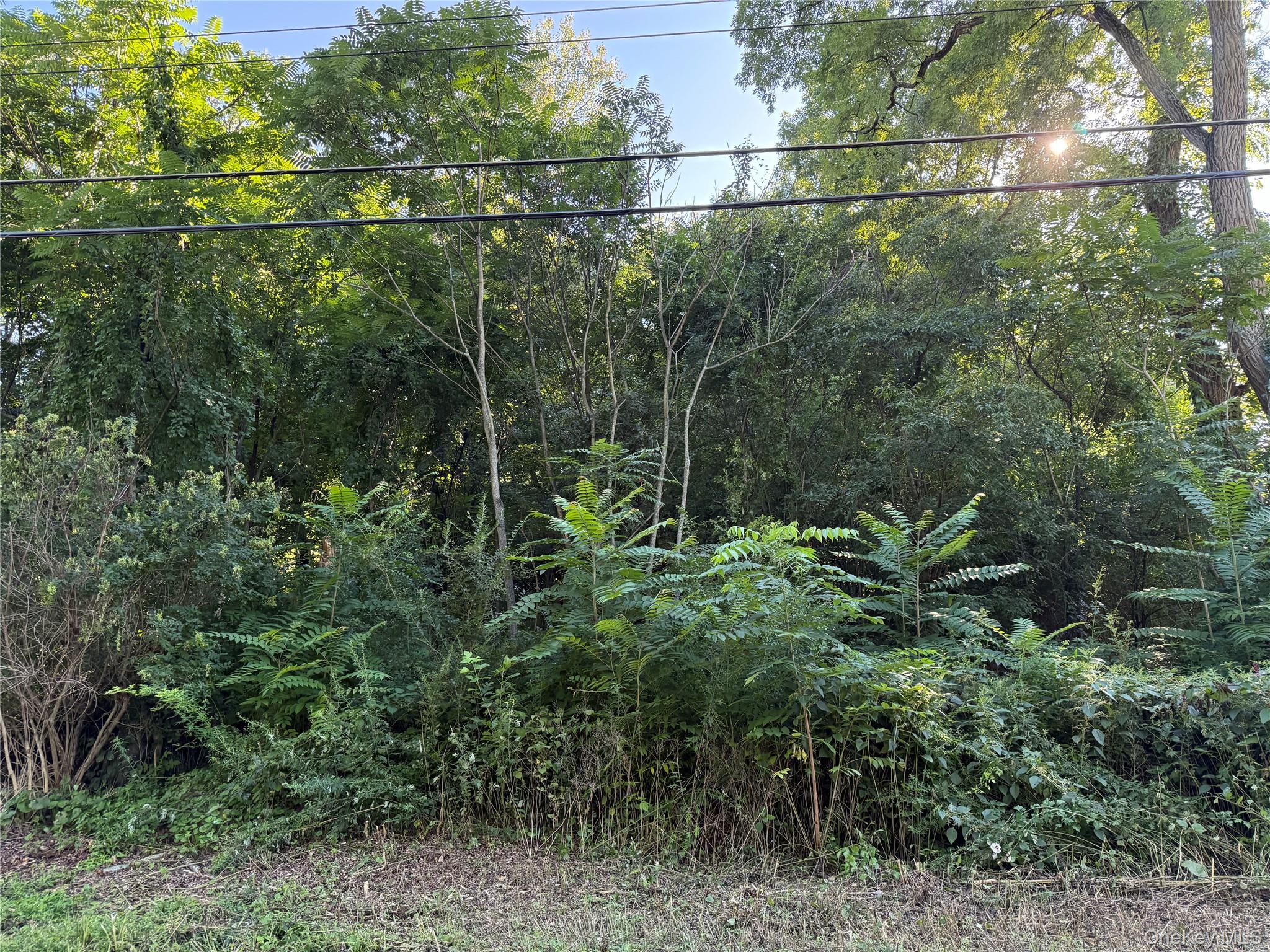 3 Morris Road Property Photo 1