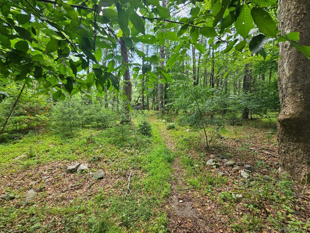624-634 Oakland Valley Road Property Photo 13