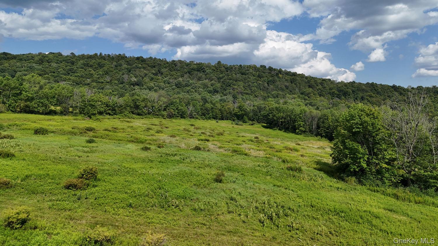 Waterfront Lot 15 Meadow Lane Property Photo 21