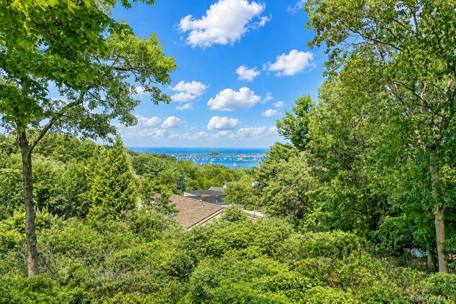 51 Rockledge Path Property Photo 5