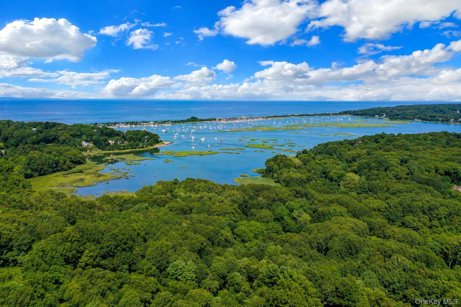 51 Rockledge Path Property Photo 7