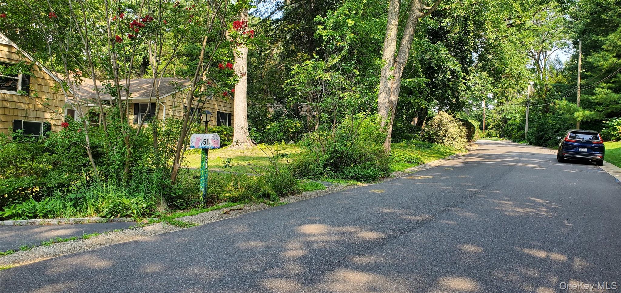 51 The Hemlocks Roslyn Estates Property Photo 1
