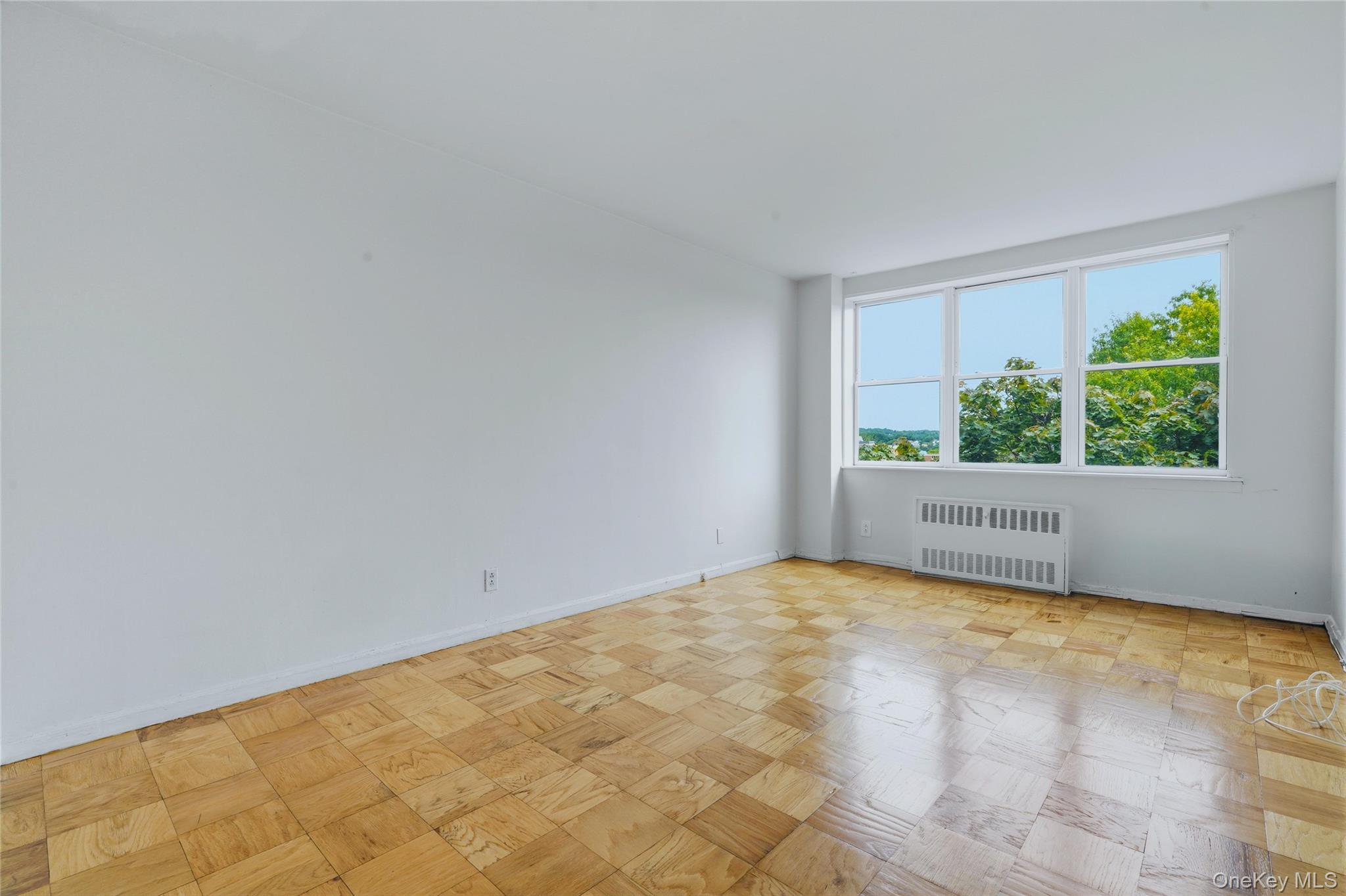 25 Franklin Avenue 6d Property Photo 14