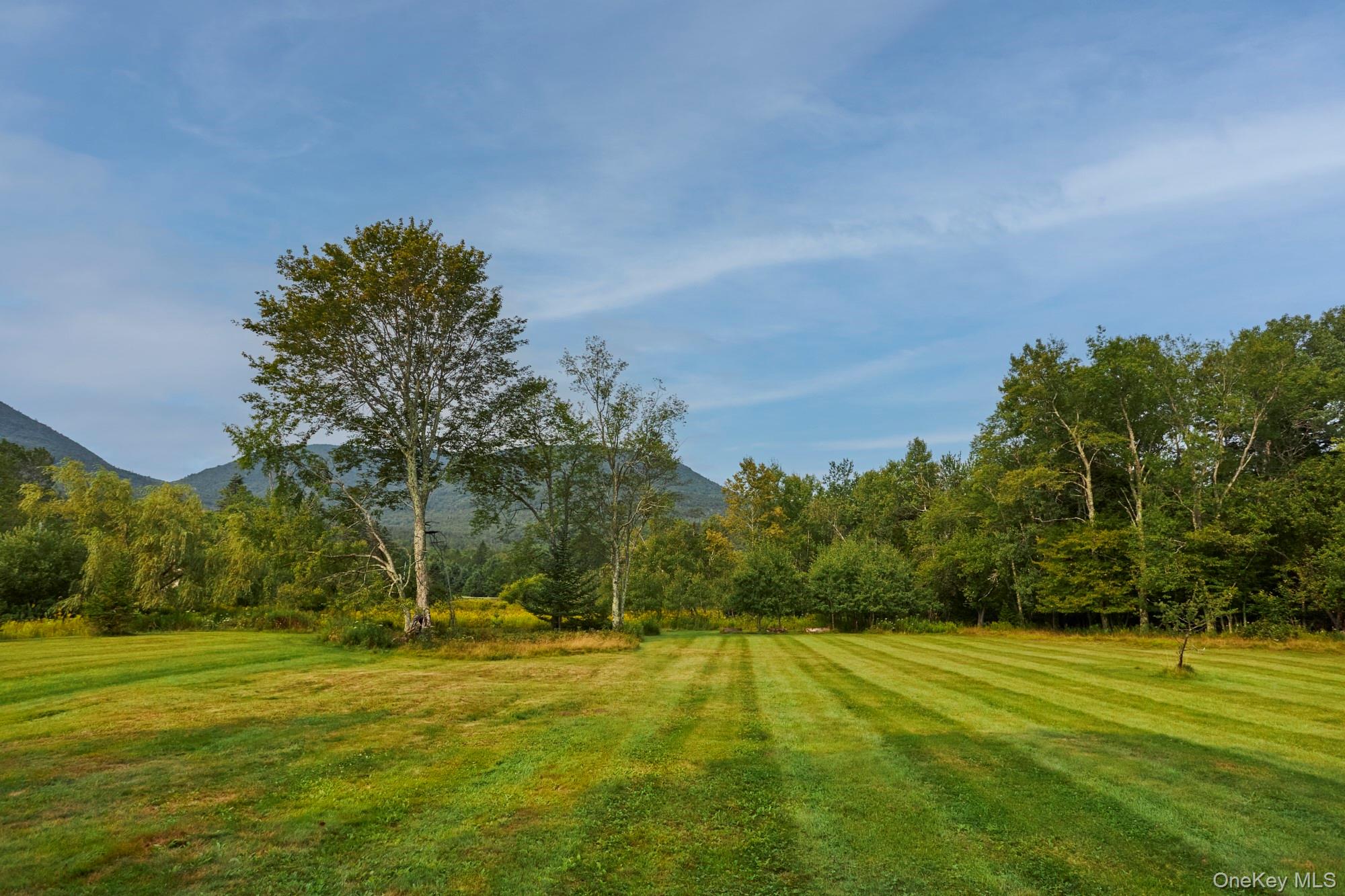 1658 Platte Clove Road Property Photo 29