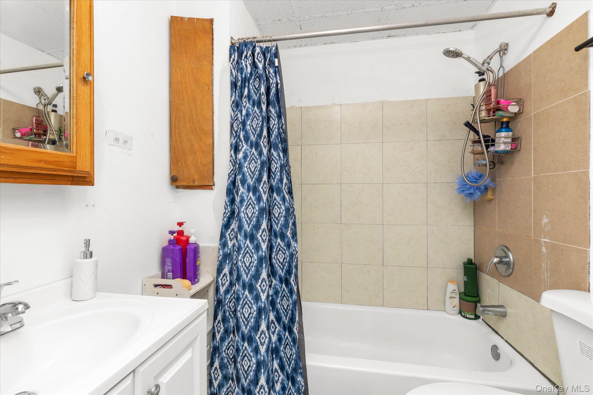 343 Roslyn Avenue Property Photo 17