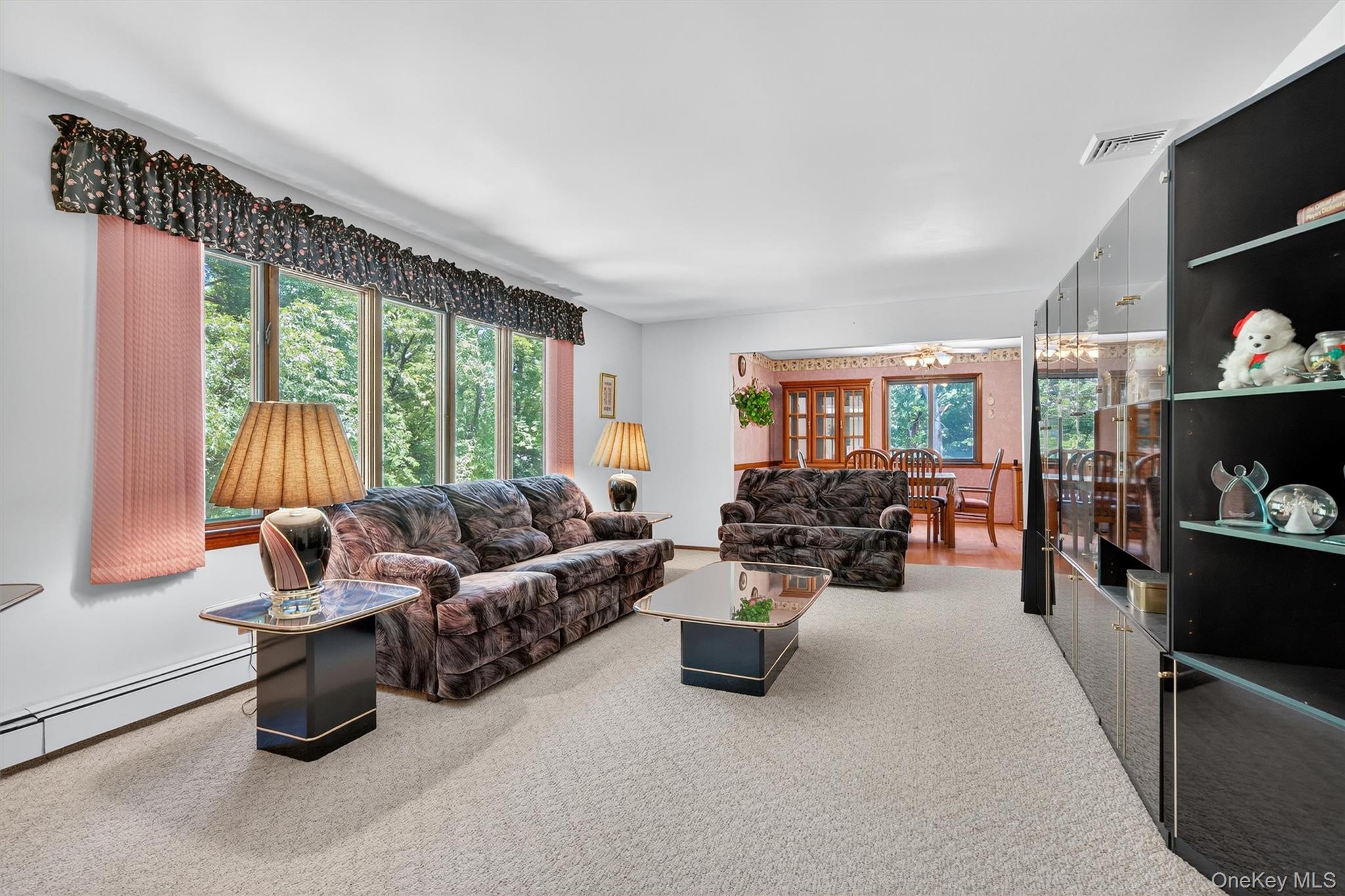 351 Ski Run Road Property Photo 4