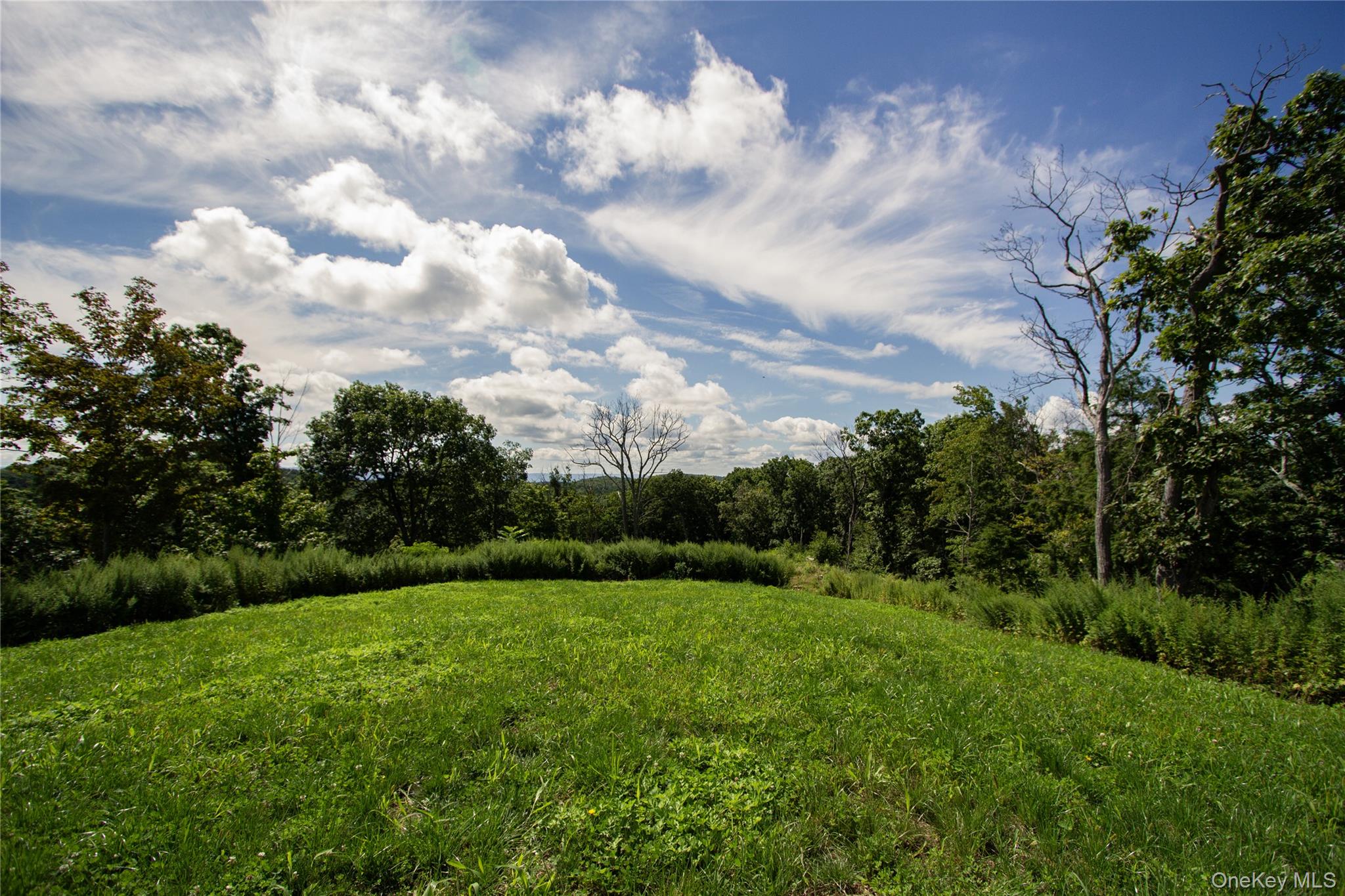 229 Mount Zion Road Property Photo 1