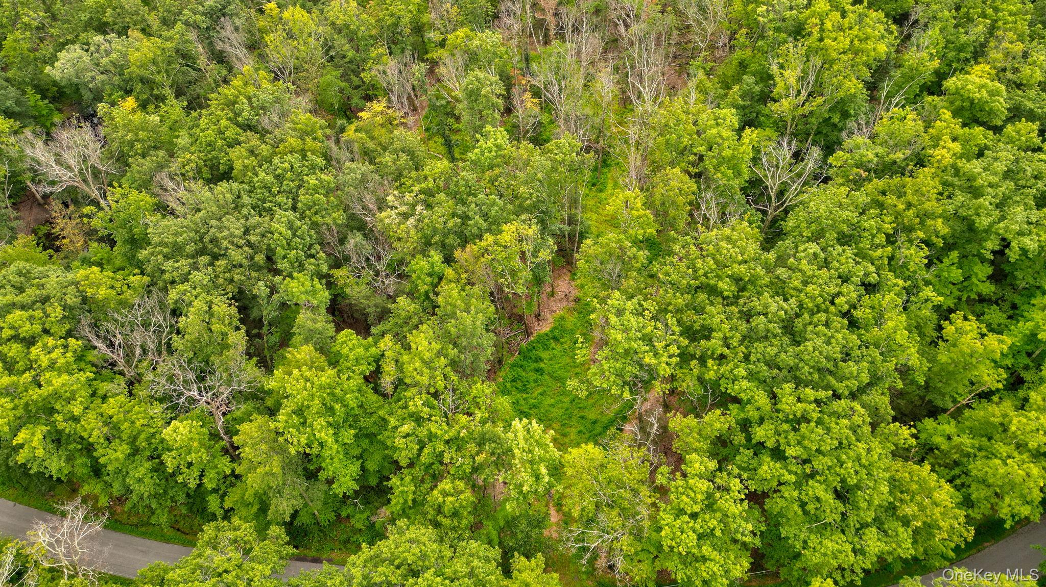 Lot 1 Pantelop Road Property Photo 2