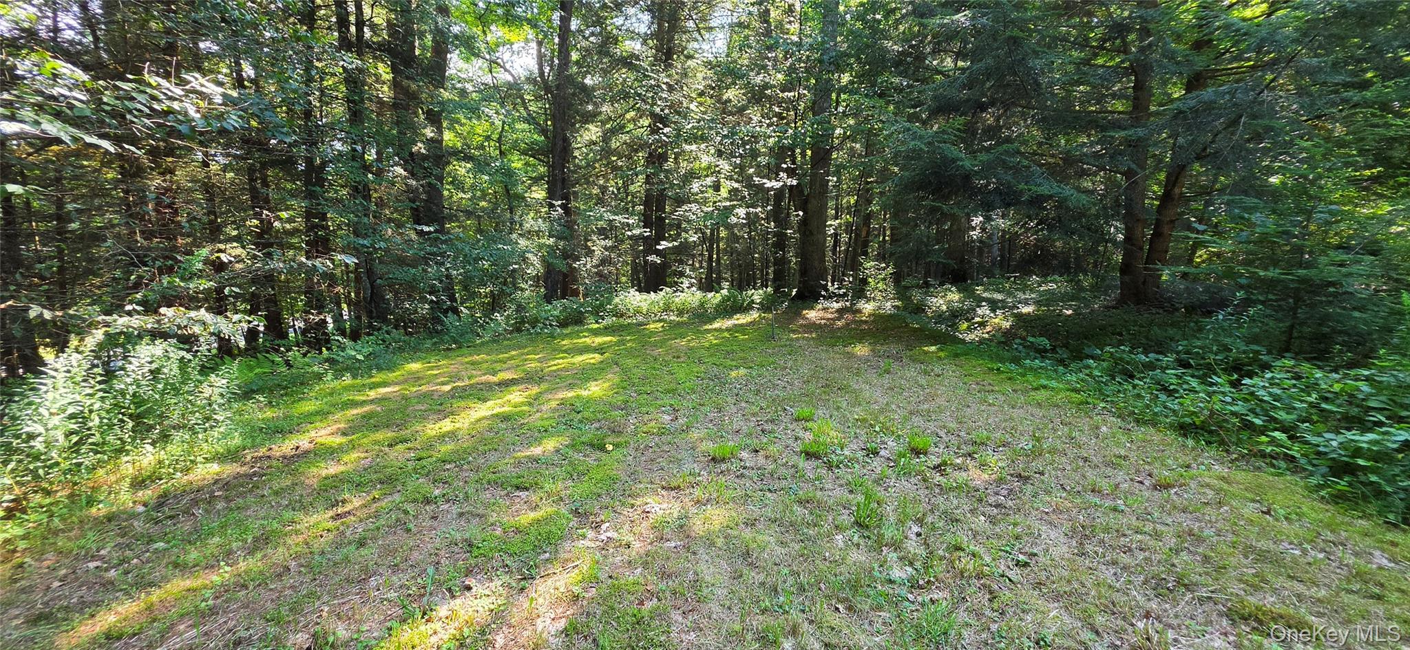 7606 Nys 52 Property Photo 17