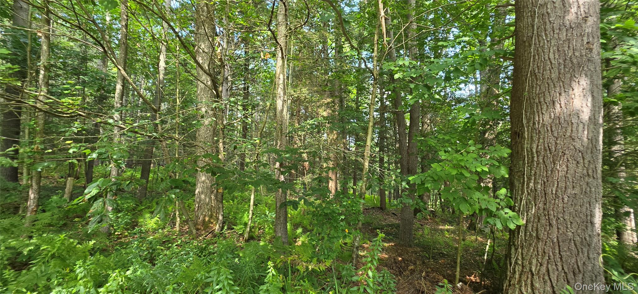 Lot 6 Nys 52 Property Photo 1
