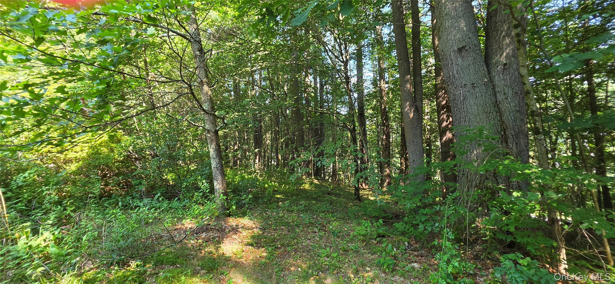 Lot 6 Nys 52 Property Photo 3