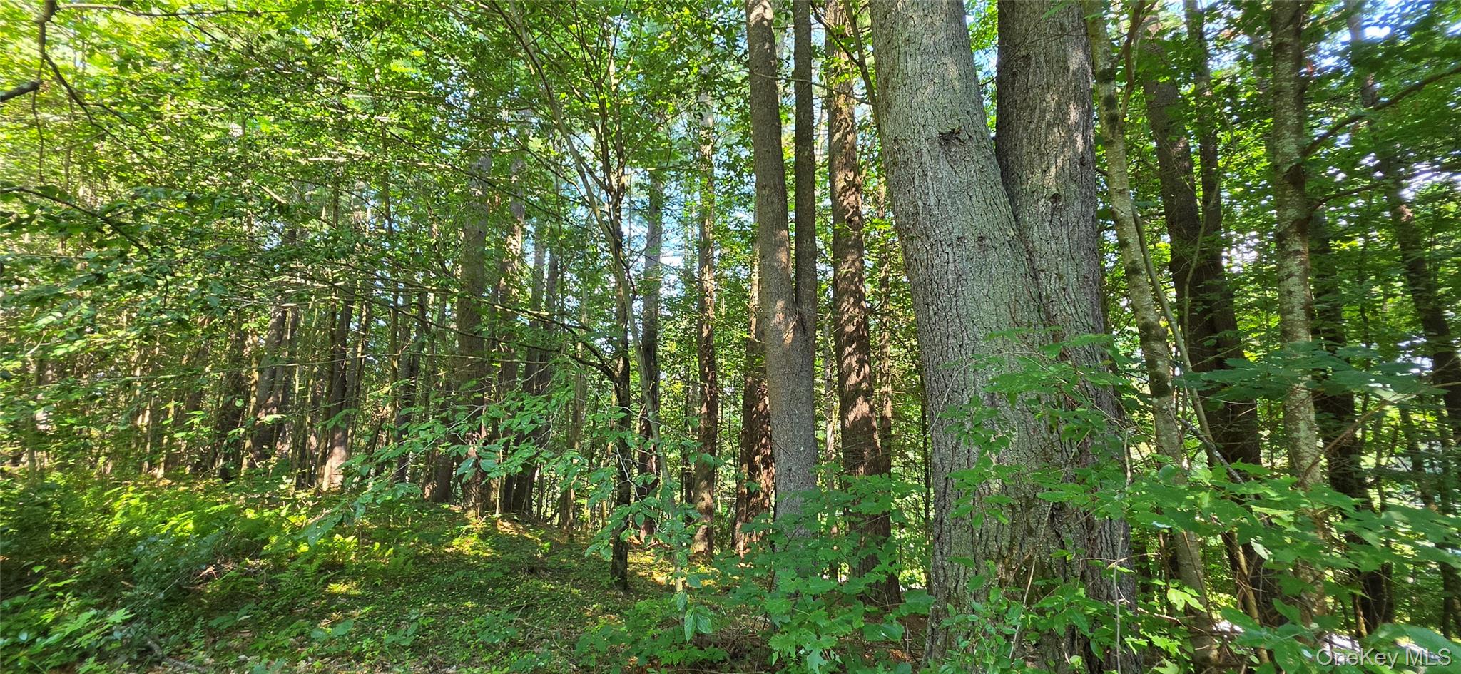 Lot 6 Nys 52 Property Photo 4