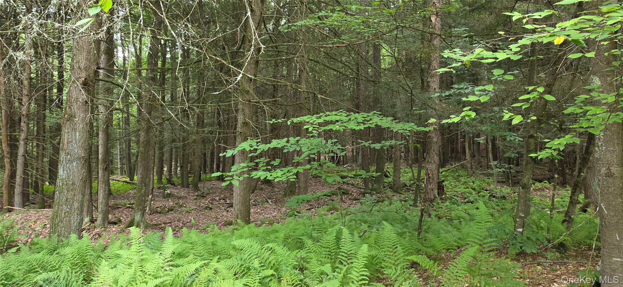 Lot 6 Nys 52 Property Photo 5