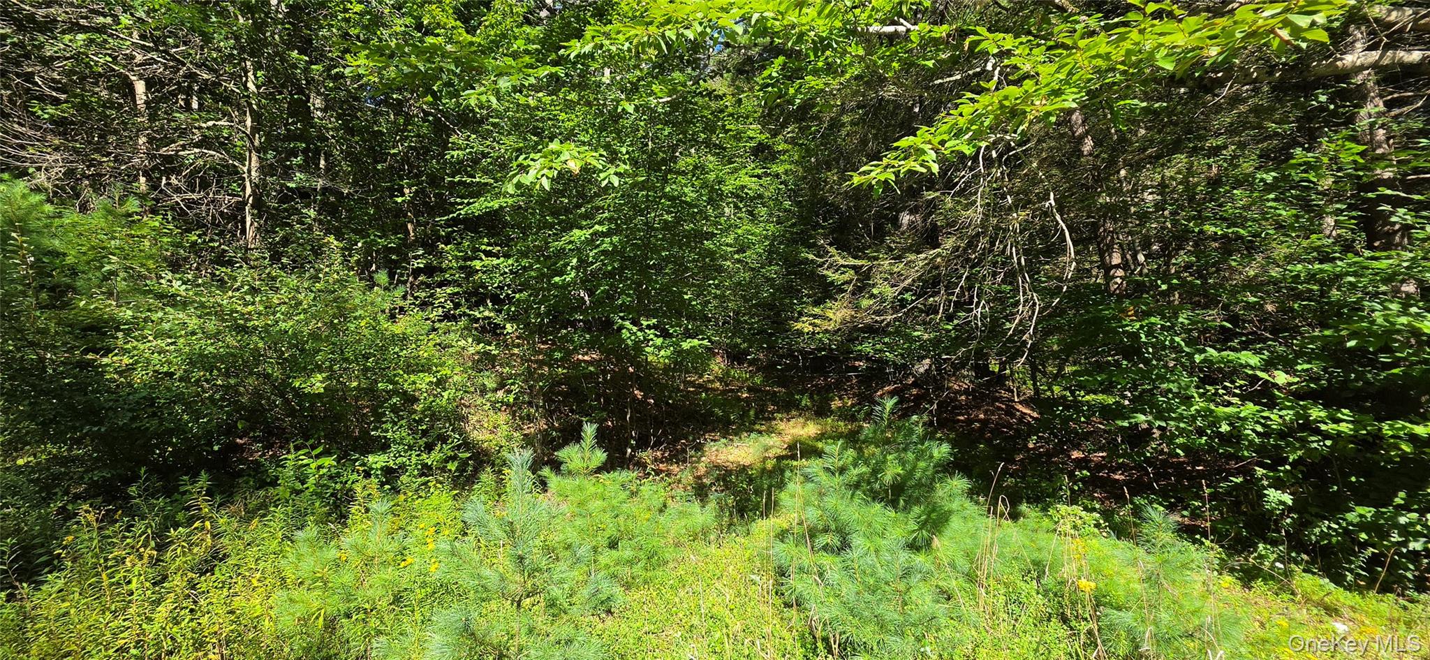 Lot 6 Nys 52 Property Photo 6