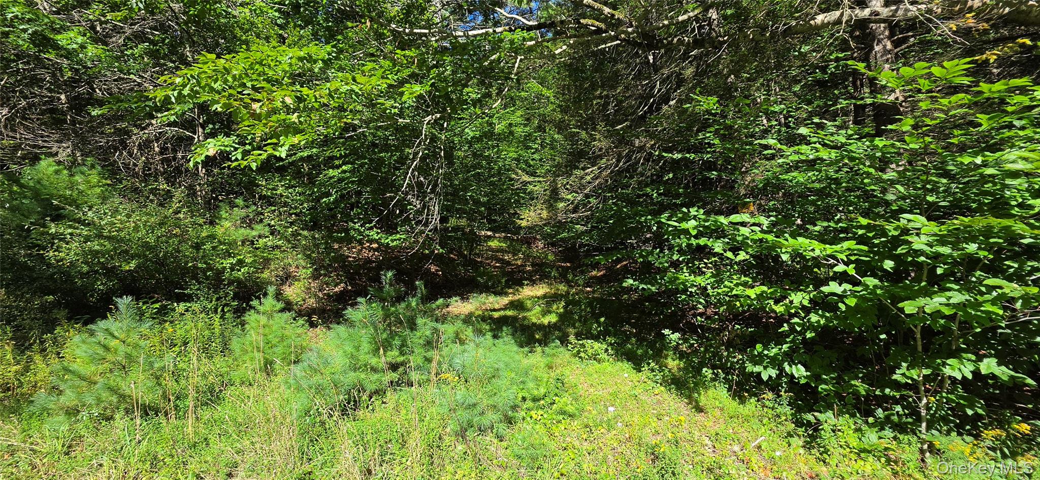Lot 6 Nys 52 Property Photo 7