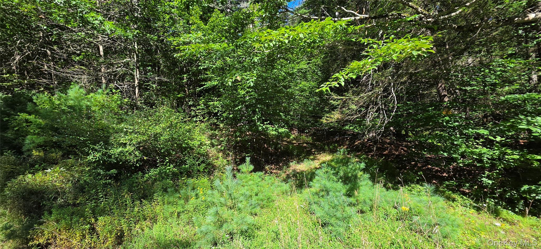 Lot 6 Nys 52 Property Photo 8