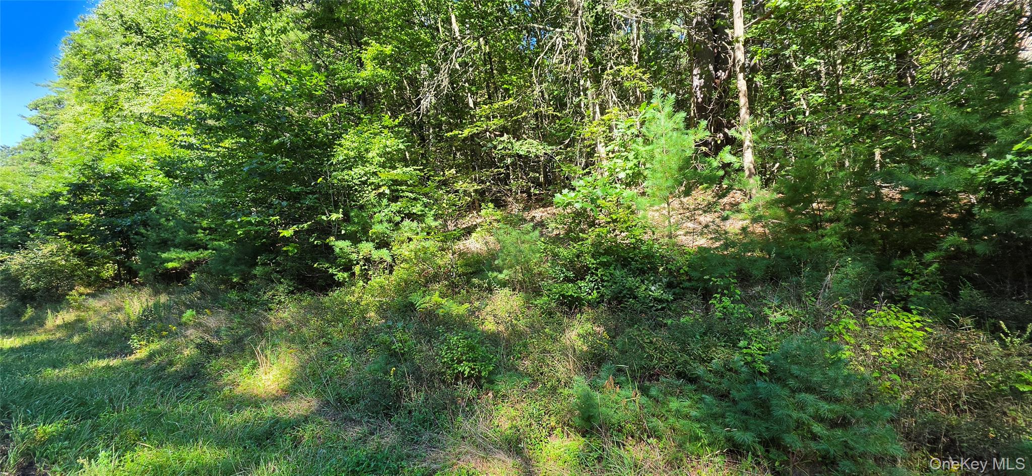 Lot 6 Nys 52 Property Photo 9