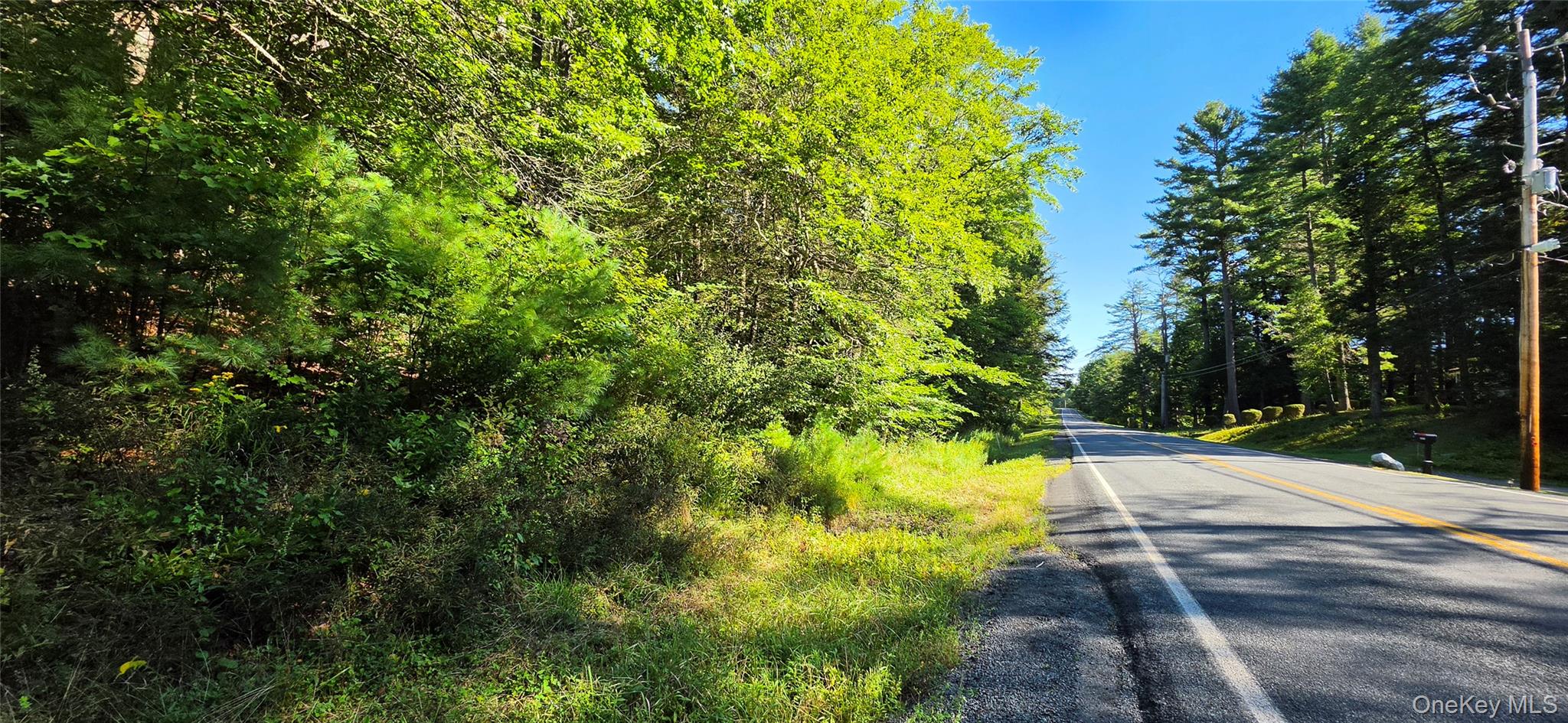 Lot 6 Nys 52 Property Photo 10